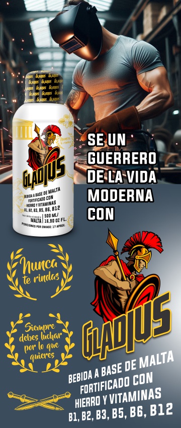 banner_pagweb_Midori_Gladius_360x850