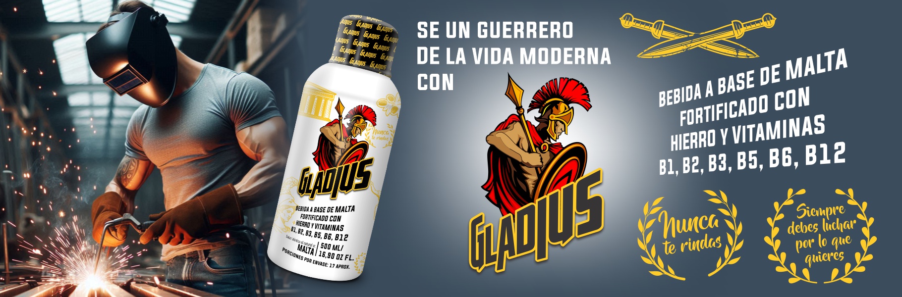 banner_pagweb_Midori_gladius_1820x600